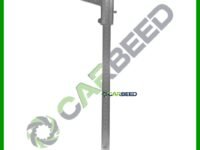 باكوليس 8 بوصة ( قدمة ورنية ) - Vernier Caliper 8 inch